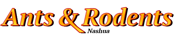 Nashua Ant Exterminator & Rodent Control Company Logo